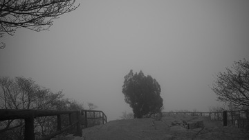 9B55868D-083A-456E-9179-E706E8581CC4/L0/001