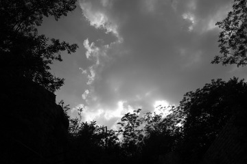 3E80FC51-4710-444D-A0EE-324195DB2974/L0/001