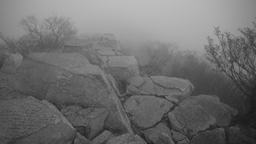 AF6705F8-0268-45CB-998F-54285D77353F/L0/001