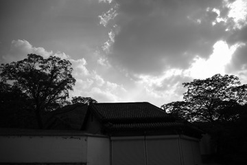 A7E120D5-B80F-4087-9781-82387E2015D4/L0/001