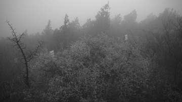 14E3F64B-0D8C-4018-8A5E-84EEB3960472/L0/001