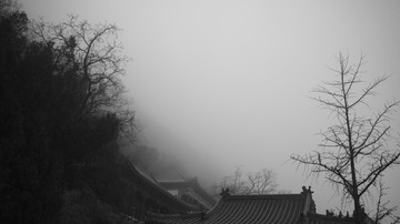 0620FD29-EEC9-47F0-BFC8-3800885DA392/L0/001