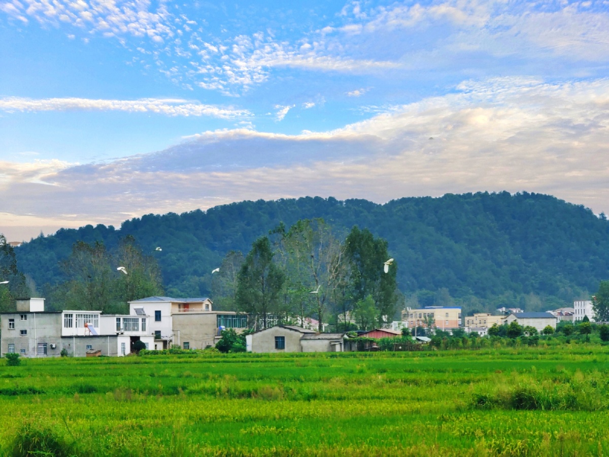 新县大别山乡村