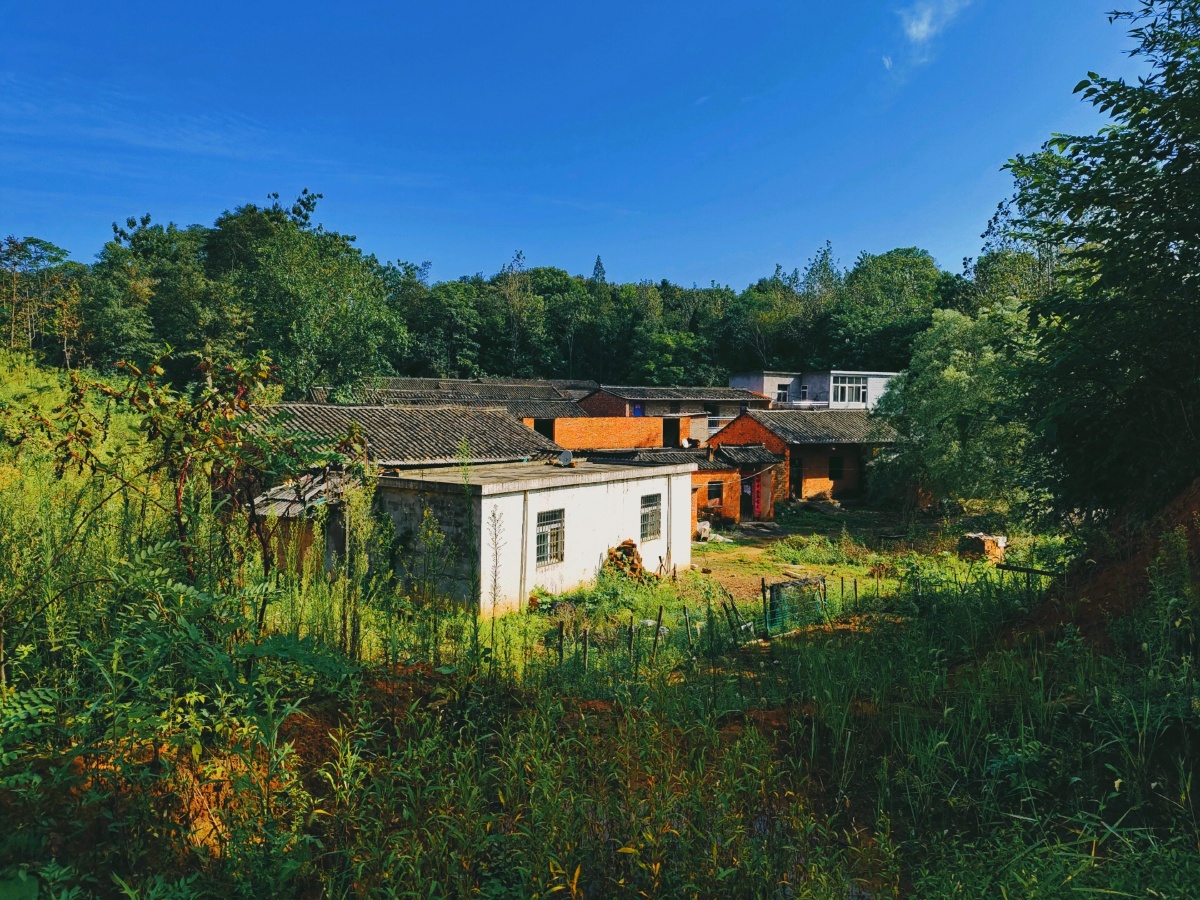 信阳大别山乡村