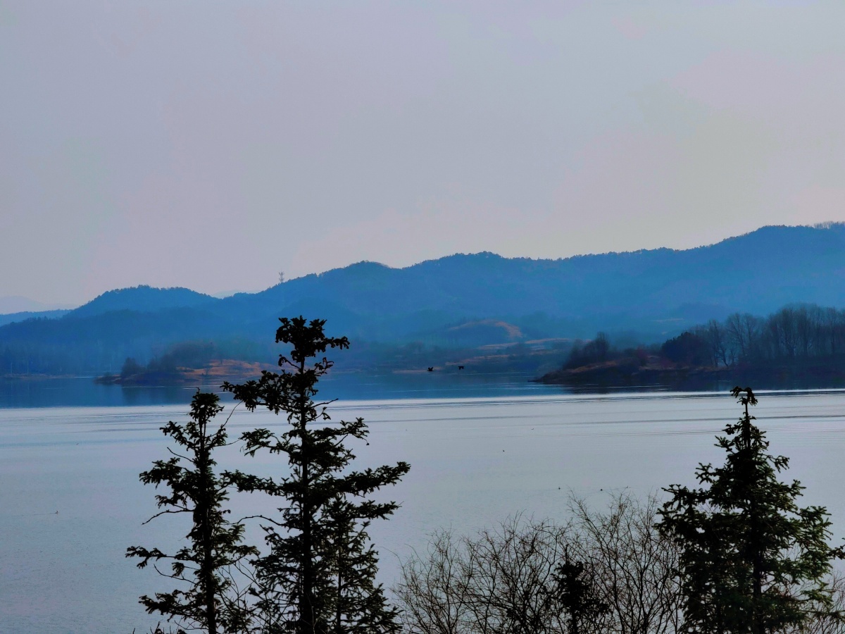 泼河水库原生态风景区有水鸟野鸭森林覆盖率达76水库中心岛屿众多可以