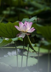 _DSC7573001
