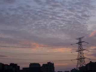1000009726
