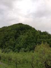 18421