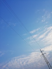 137658