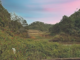 130631