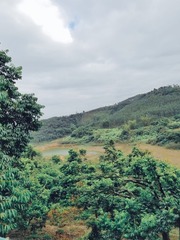 130629