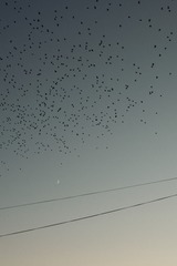594D7998-2CE2-4C9E-8165-8962E1206E03/L0/001