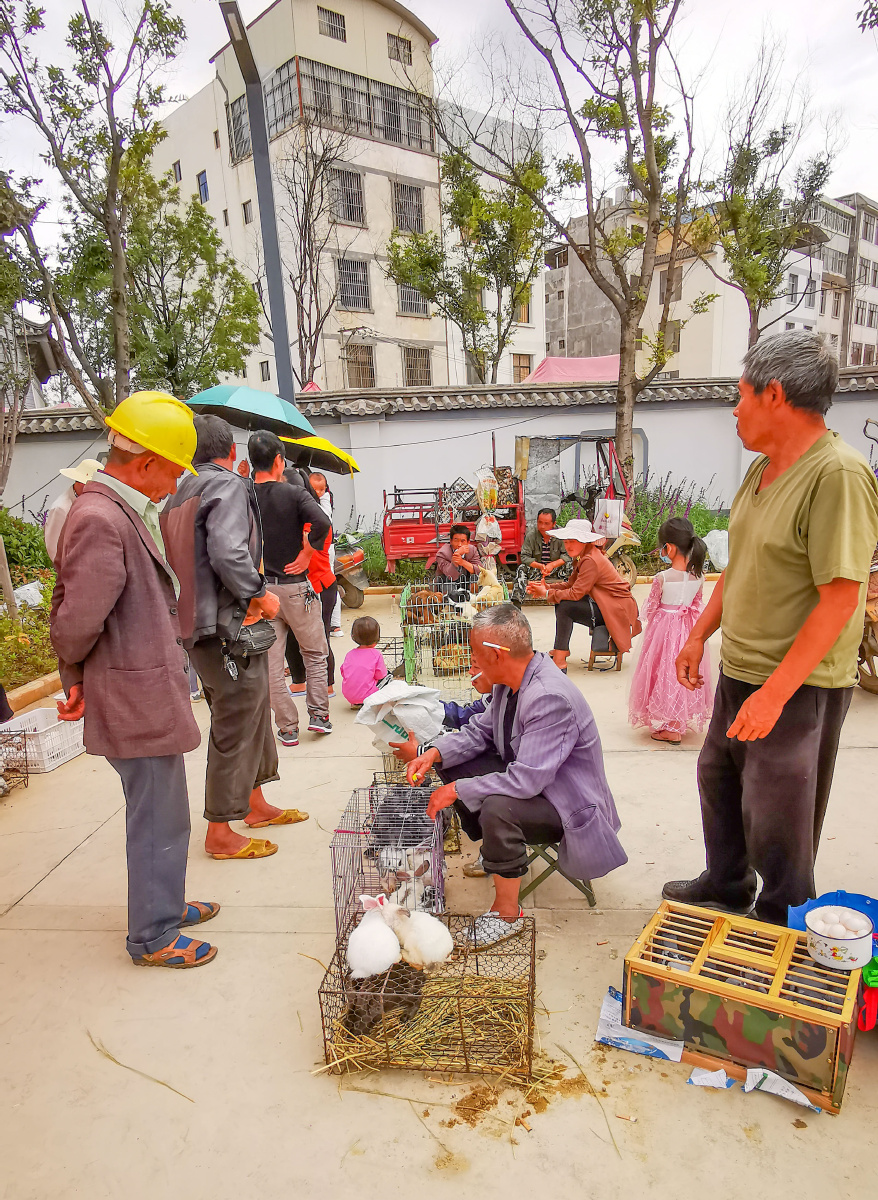 百姓生活摆摊去