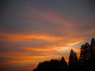 88C30708-B1DA-411D-B760-4D0712184F26/L0/001