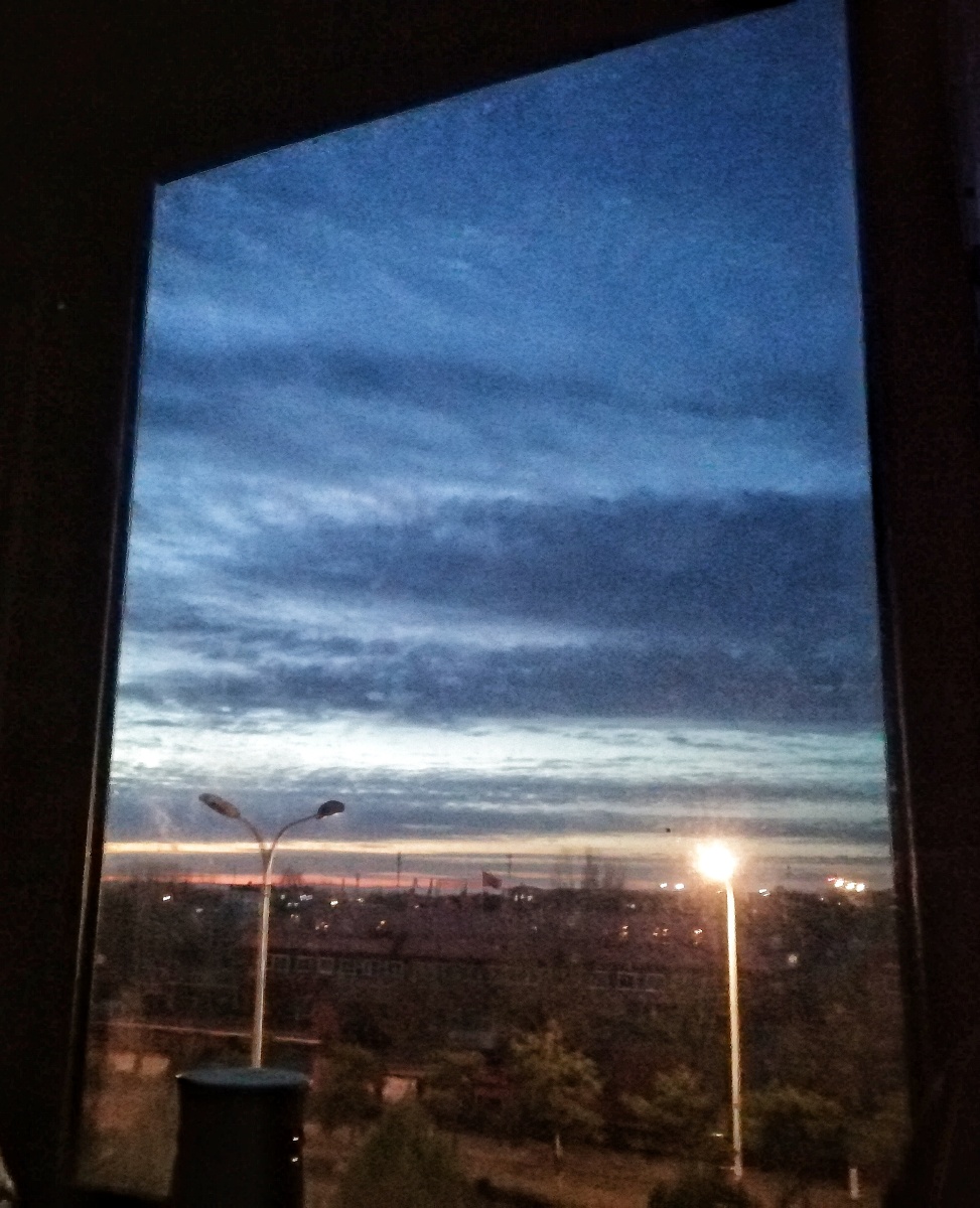 冬日清晨的窗外世界