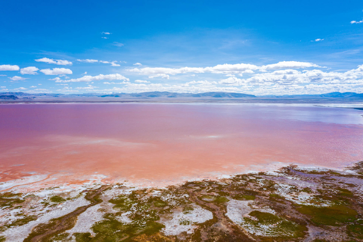西藏唯一的粉色盐湖扎布耶茶卡盐湖