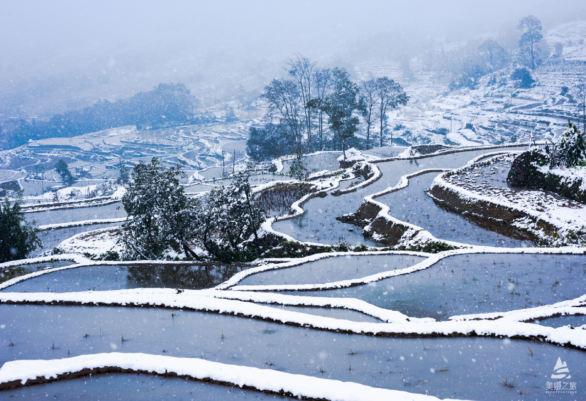 冬日元阳雪中梯田