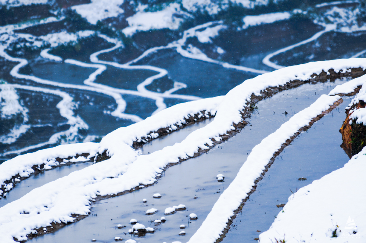 冬日元阳雪中梯田