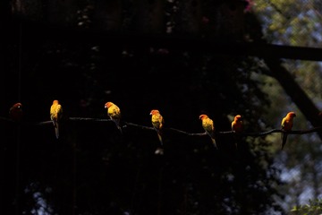 63293EC6-E6B6-4FDC-814D-D9CC7D254AD3/L0/001