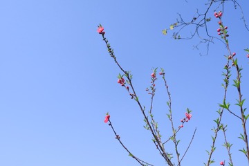 48506AE4-7175-4034-AA2D-C9C105313AA0/L0/001