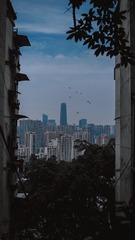 D546656D-887F-4898-8025-412AC9B76F58/L0/001