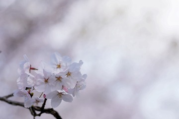 BEF60131-244F-4B8B-B1F7-EEE86152FD3D/L0/001