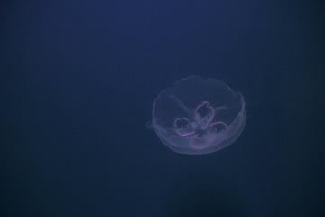 1280738