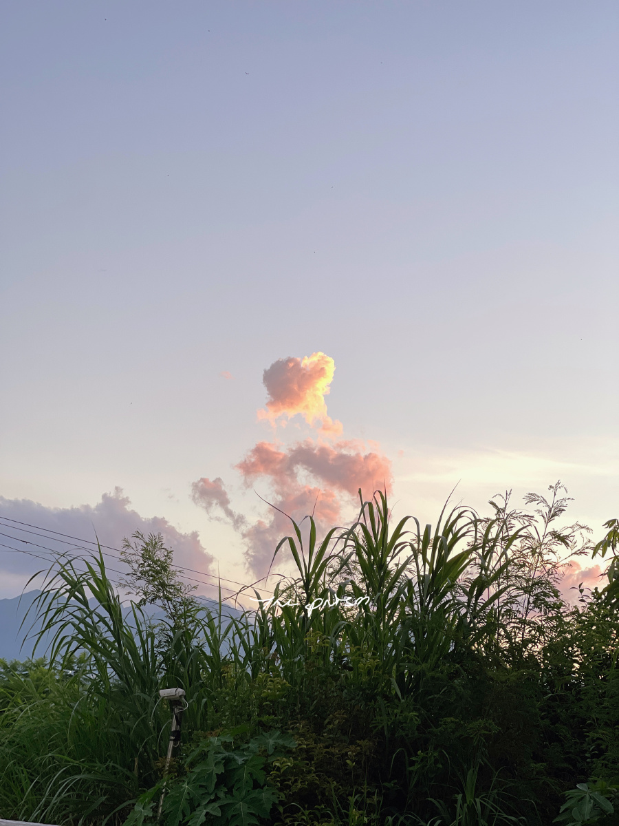 落日余晖像什么