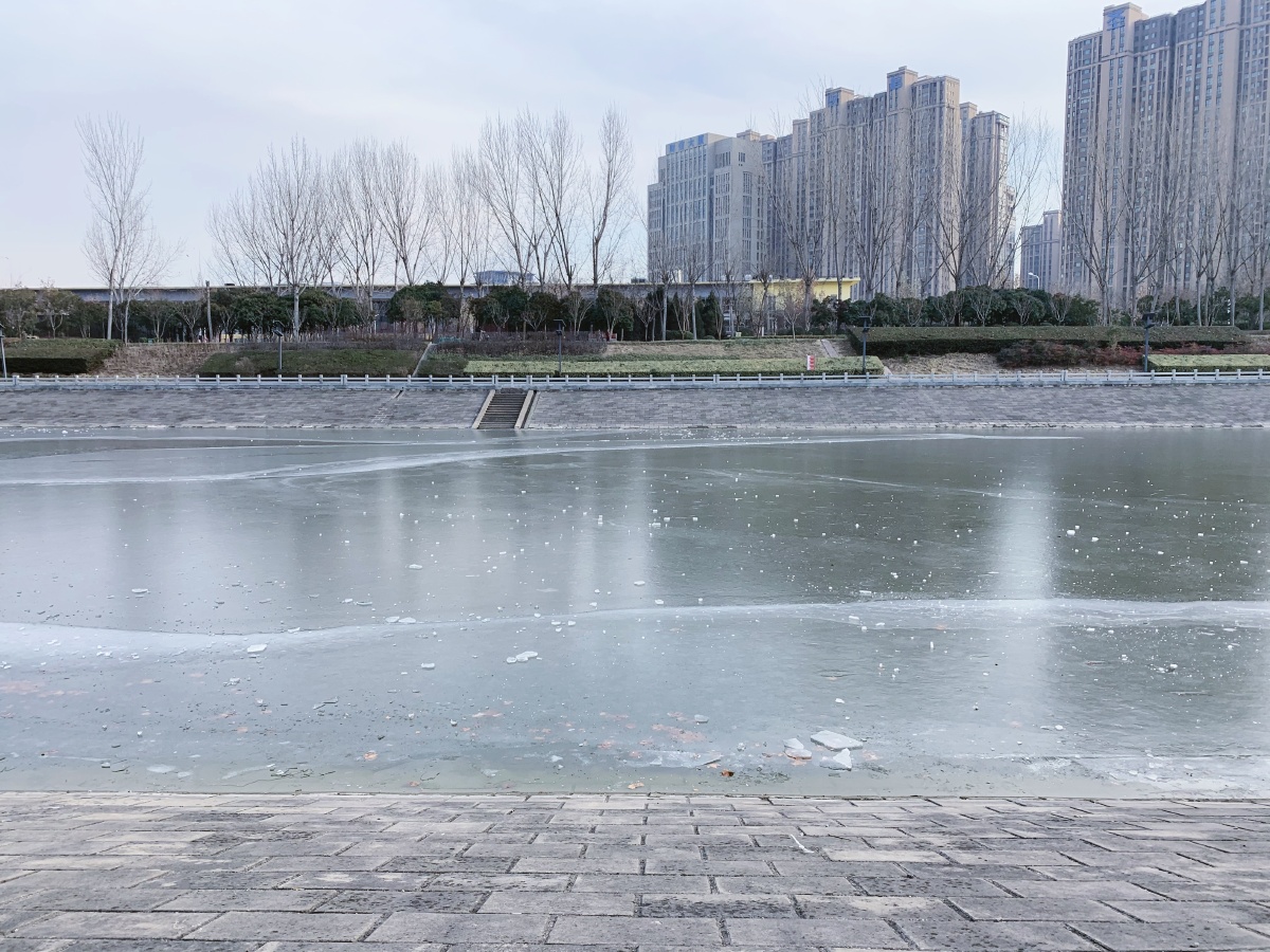 郑州气温下降滨河公园河面已经结冰