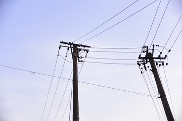 2781839