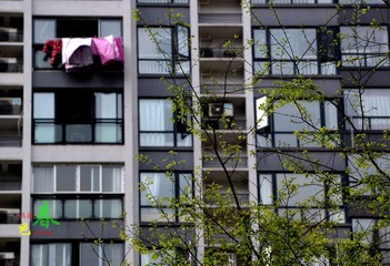 DSC07104_