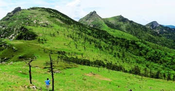复件 IMG_7378_conew2