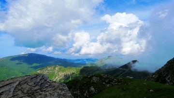 IMG_7996_conew1