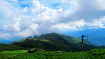 IMG_7987_conew1