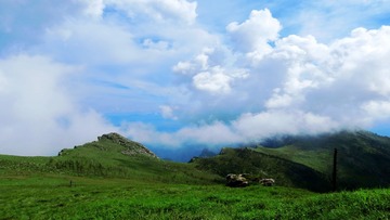 IMG_7975_conew1