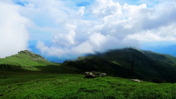 IMG_7984_conew1