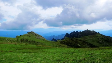 IMG_7865_conew1