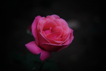 90119BD2-98E6-447E-B16C-542EE10A64F6/L0/001