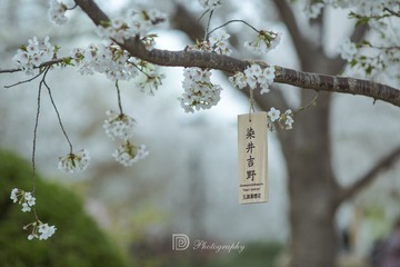 6D568104-0397-4052-AB3E-CC0BC92EA414/L0/001
