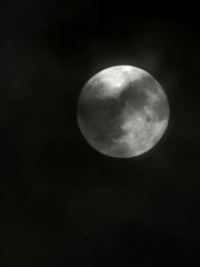 1000005229