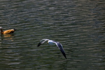 15038A48-CA38-4E23-BB11-453EBD1AEA36/L0/001
