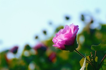 207B4594-2177-4126-A392-20F360D80D9B/L0/001