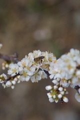76108A69-3F65-4236-9F35-696D50A39FAE/L0/001