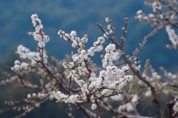 74E13F02-17F5-4040-BB3E-4A73088A7506/L0/001