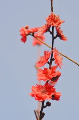 84C5F500-25FB-4D96-8C4C-32E1844B69B6/L0/001