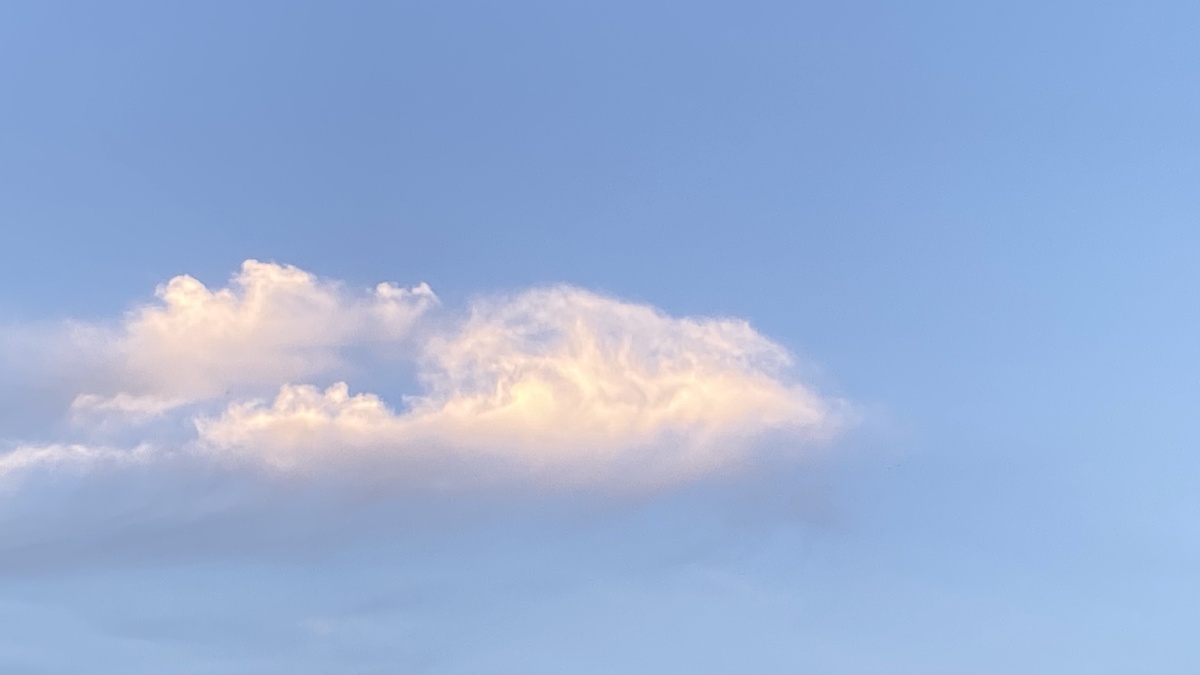 总有一朵白云会飘进你的世界