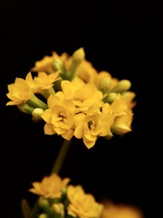 EE0602E5-F56A-4F19-B3CB-CF6D32451034/L0/001