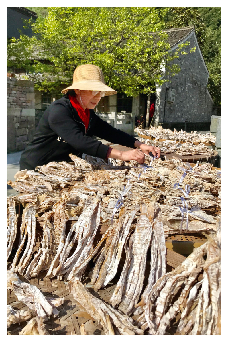 《晒笋干的季节》-手机摄于宁波奉化溪口栖霞坑村 - 四明画夫 - 图虫