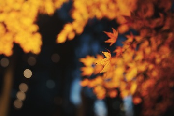 A27479AA-4EAD-41BC-82F5-FA3109B09299/L0/001