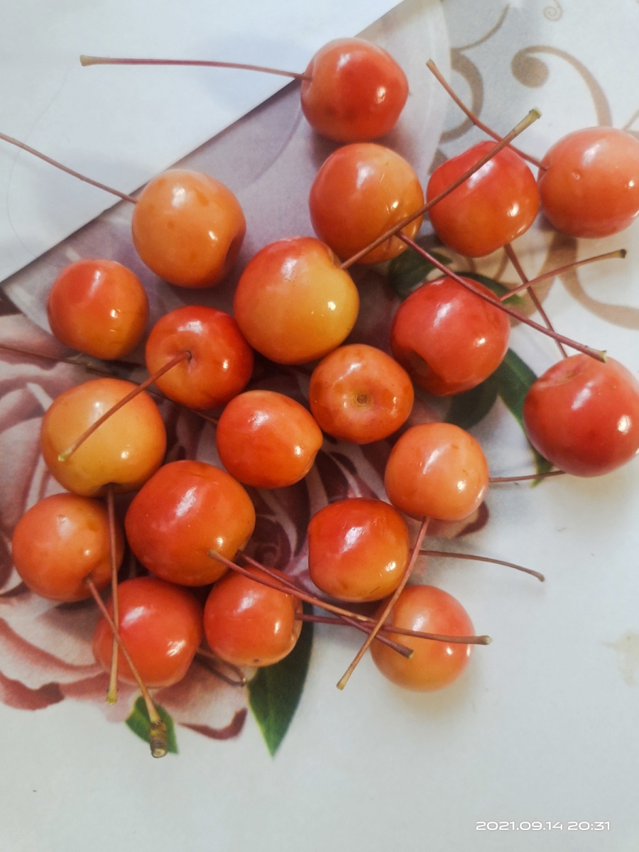 来自小可爱的小苹果可可爱爱